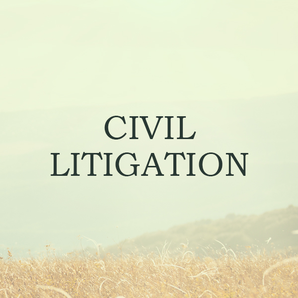 Civil Litigation